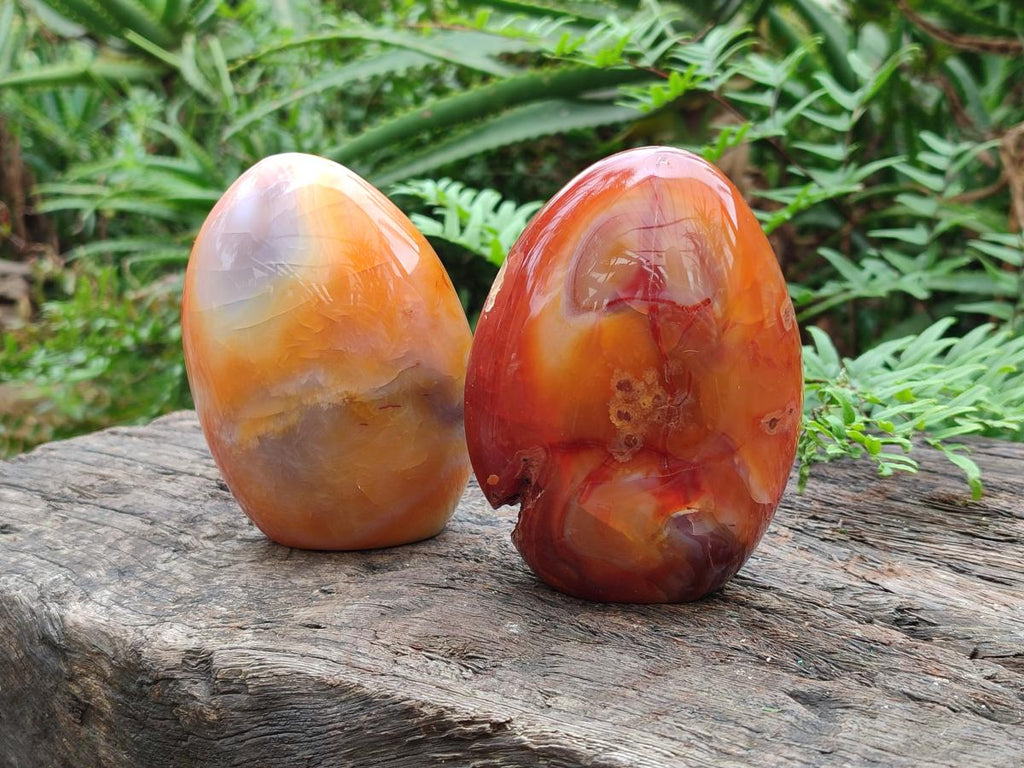 Polished Carnelian Agate Gemstone Standing Display Pieces x 2 From Madagascar - Toprock Gemstones and Minerals 
