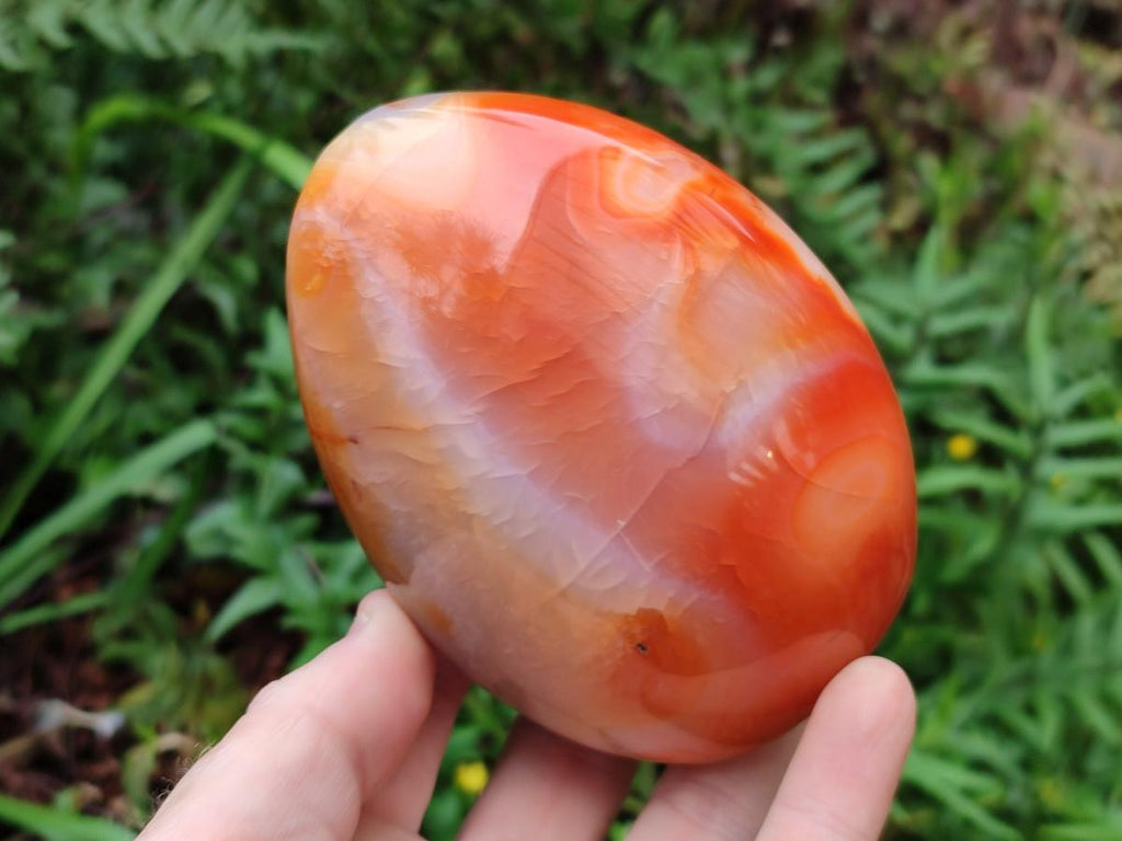 Polished Carnelian Agate Gemstone Standing Display Pieces x 2 From Madagascar - Toprock Gemstones and Minerals 