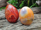 Polished Carnelian Agate Gemstone Standing Display Pieces x 2 From Madagascar - Toprock Gemstones and Minerals 