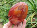 Polished Carnelian Agate Gemstone Standing Display Pieces x 2 From Madagascar - Toprock Gemstones and Minerals 