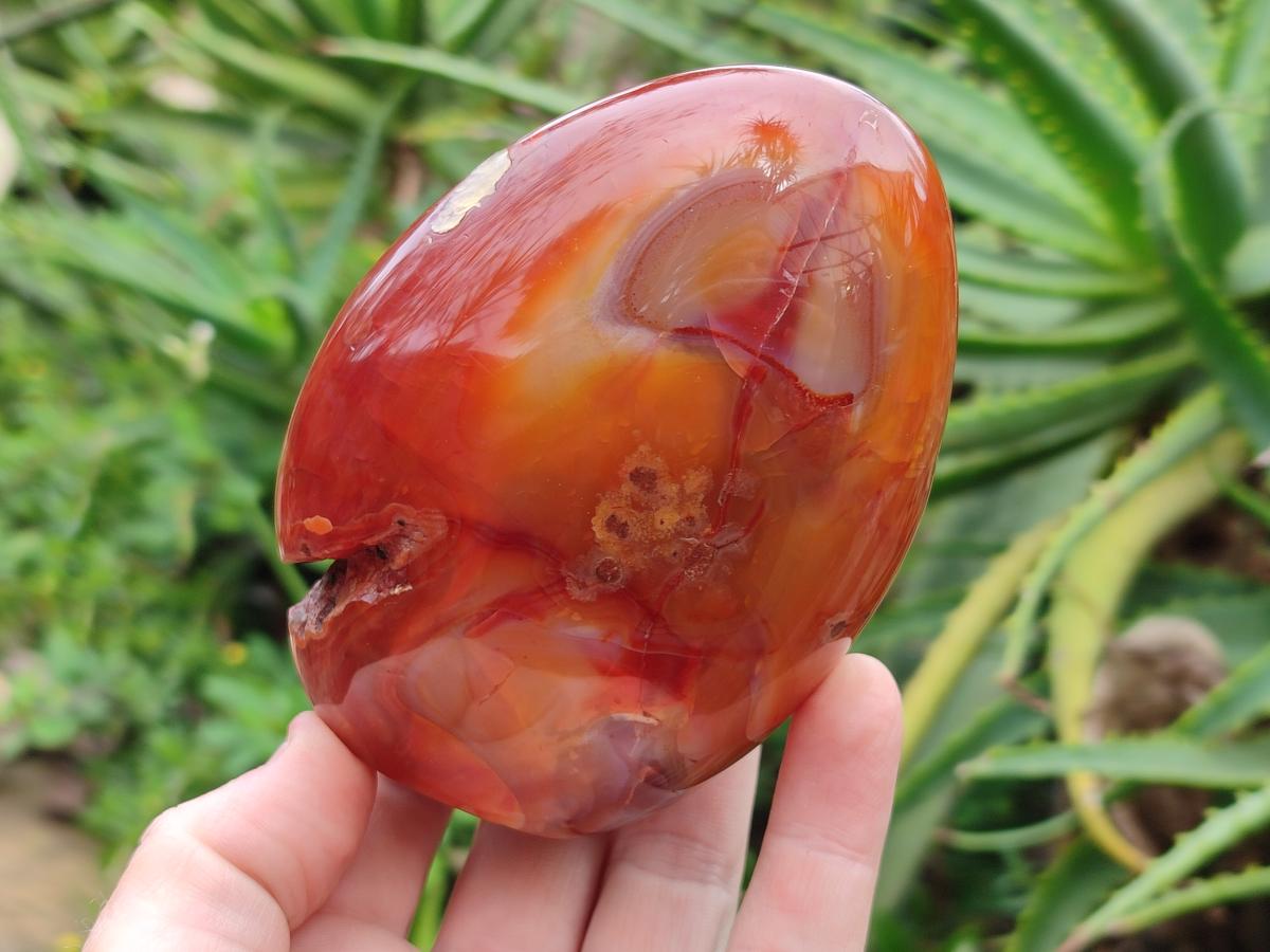 Polished Carnelian Agate Gemstone Standing Display Pieces x 2 From Madagascar - Toprock Gemstones and Minerals 