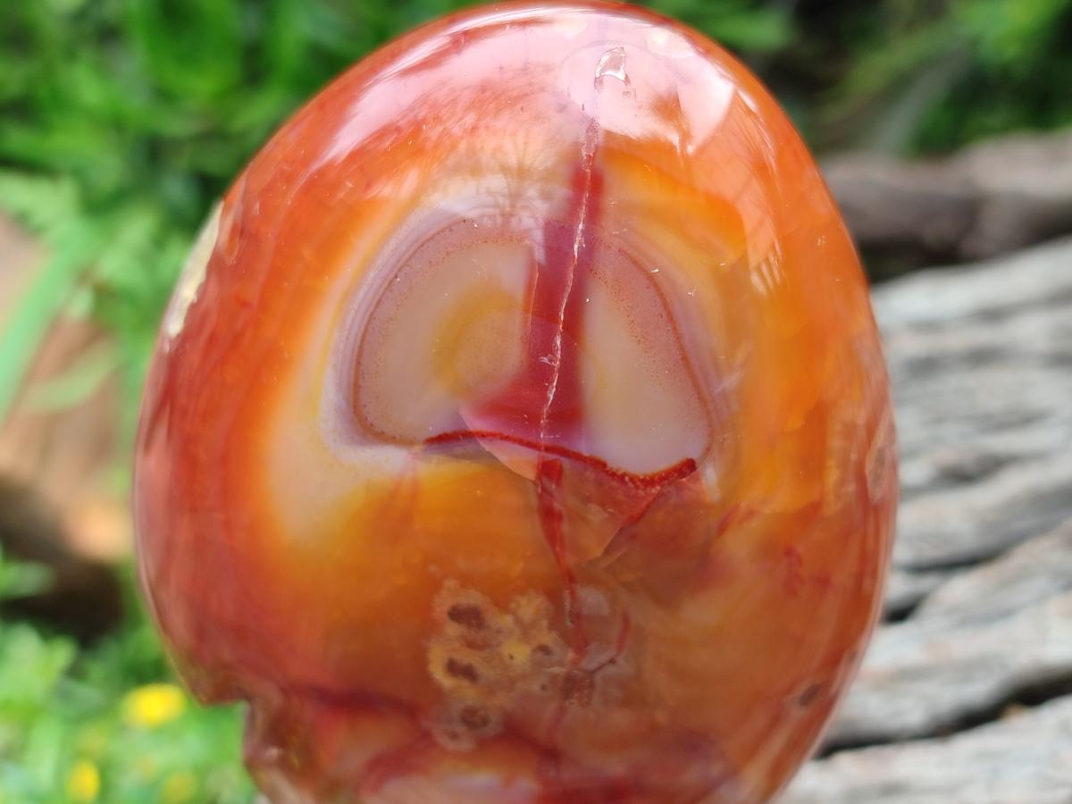 Polished Carnelian Agate Gemstone Standing Display Pieces x 2 From Madagascar - Toprock Gemstones and Minerals 