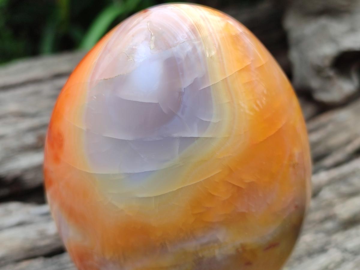 Polished Carnelian Agate Gemstone Standing Display Pieces x 2 From Madagascar - Toprock Gemstones and Minerals 