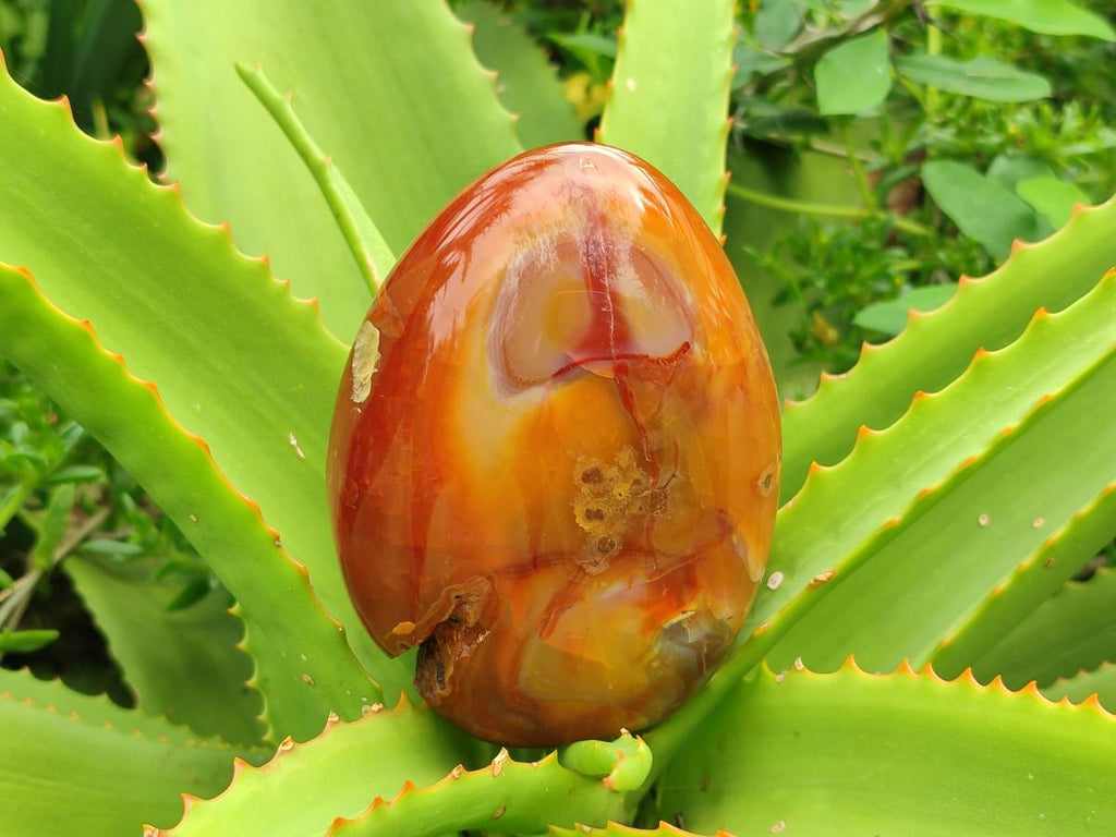 Polished Carnelian Agate Gemstone Standing Display Pieces x 2 From Madagascar - Toprock Gemstones and Minerals 