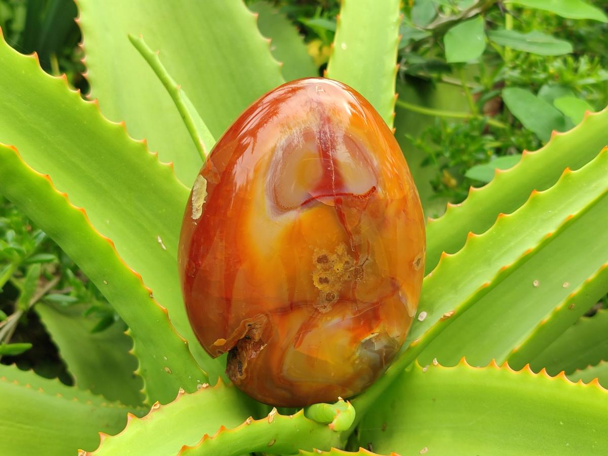 Polished Carnelian Agate Gemstone Standing Display Pieces x 2 From Madagascar - Toprock Gemstones and Minerals 
