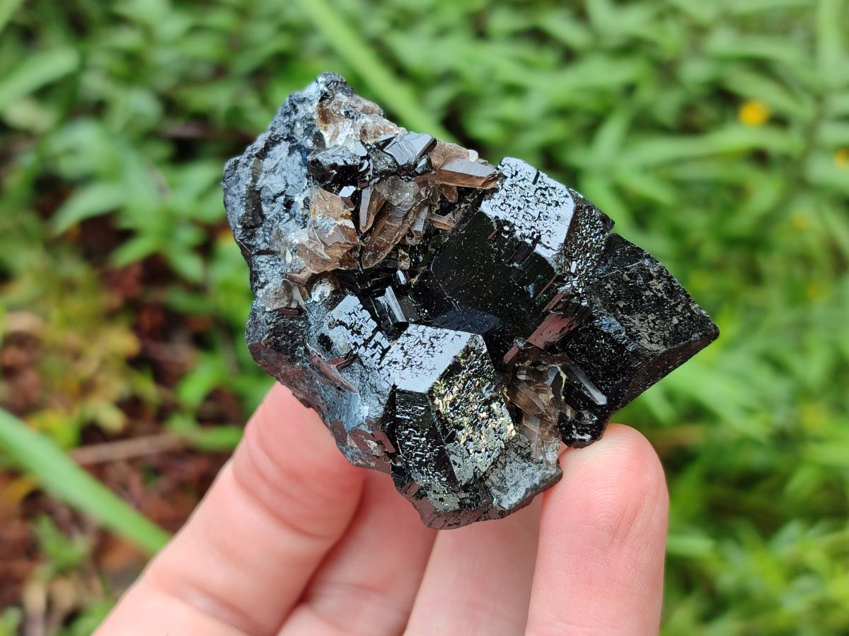 Natural Schorl Black Tourmaline some with Foitite Crystals x 12 From Erongo, Namibia - Toprock Gemstones and Minerals 