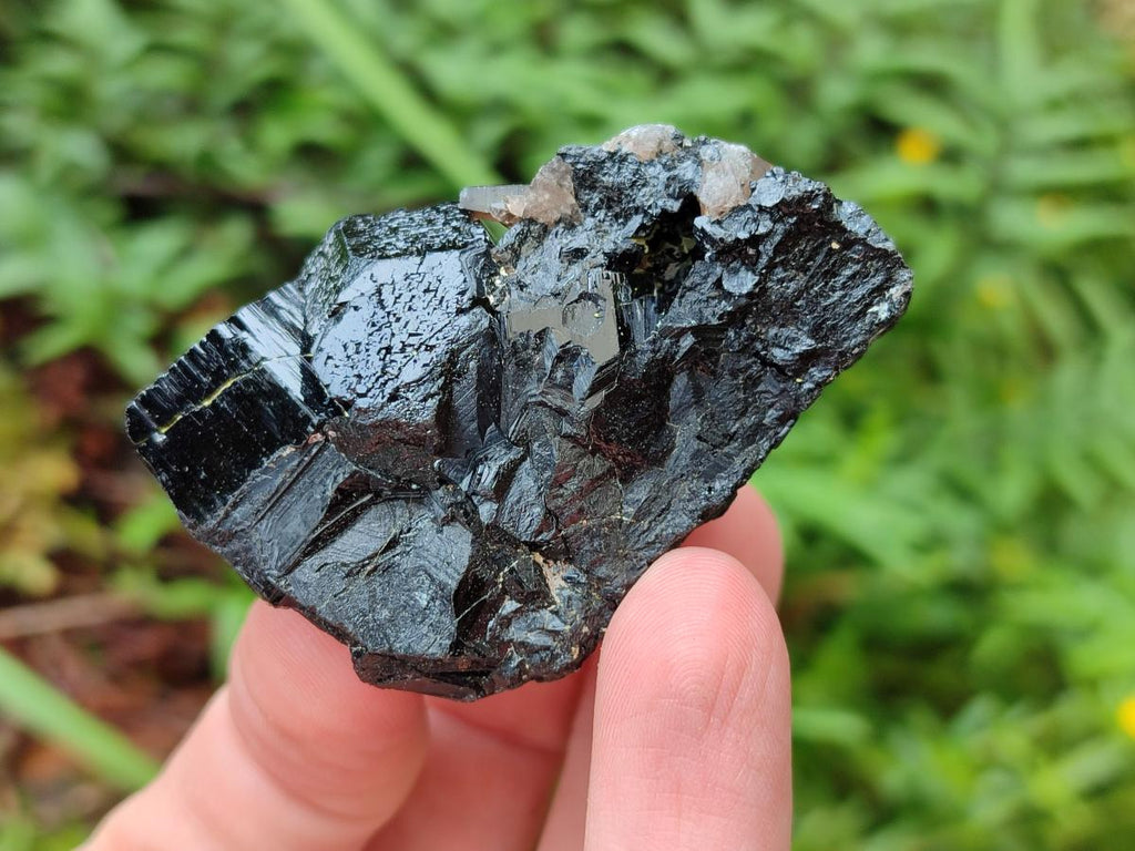 Natural Schorl Black Tourmaline some with Foitite Crystals x 12 From Erongo, Namibia - Toprock Gemstones and Minerals 