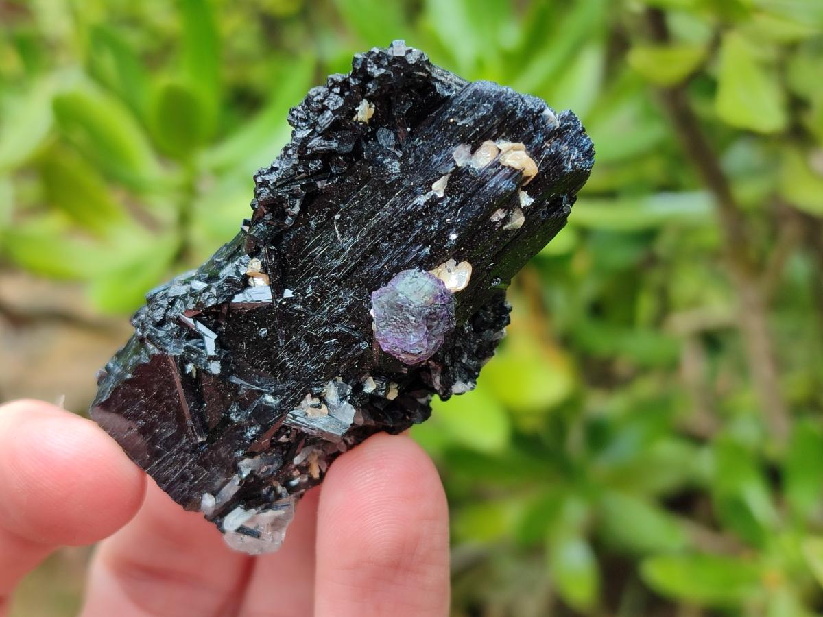Natural Schorl Black Tourmaline some with Foitite Crystals x 12 From Erongo, Namibia - Toprock Gemstones and Minerals 