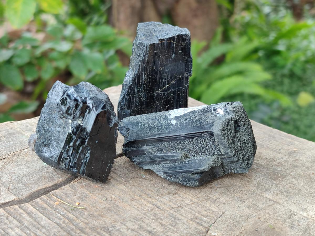 Natural Schorl Black Tourmaline some with Foitite Crystals x 12 From Erongo, Namibia - Toprock Gemstones and Minerals 