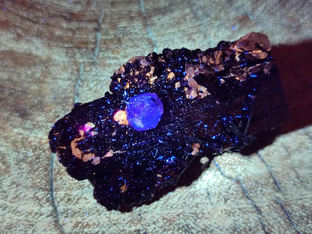 Natural Schorl Black Tourmaline some with Foitite Crystals x 12 From Erongo, Namibia - Toprock Gemstones and Minerals 