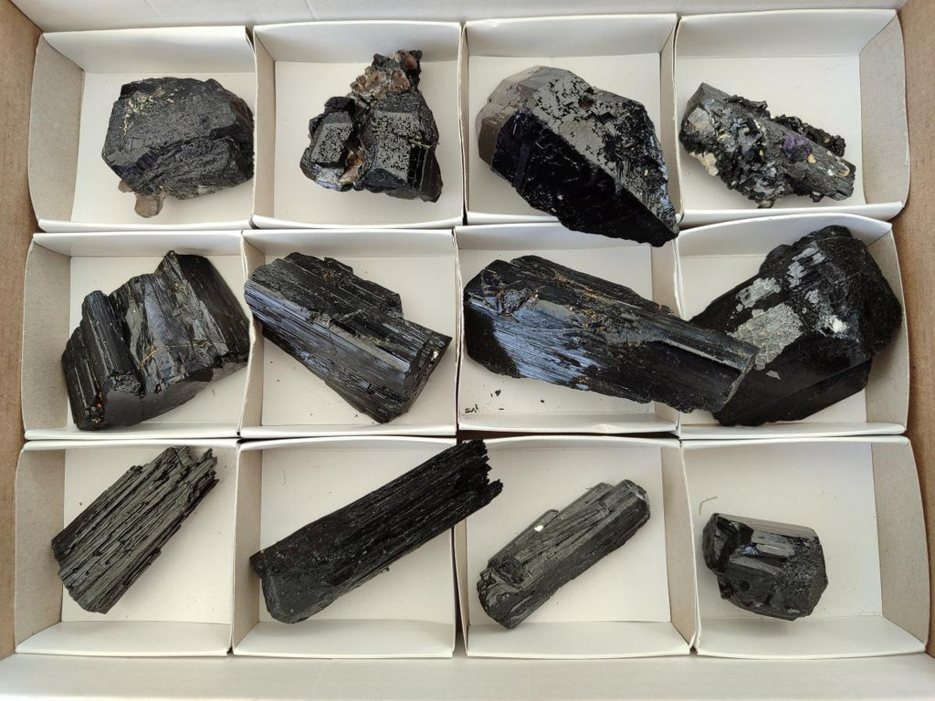 Natural Schorl Black Tourmaline some with Foitite Crystals x 12 From Erongo, Namibia - Toprock Gemstones and Minerals 