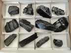 Natural Schorl Black Tourmaline some with Foitite Crystals x 12 From Erongo, Namibia - Toprock Gemstones and Minerals 