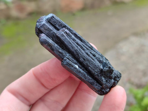 Natural Schorl Black Tourmaline some with Foitite Crystals x 12 From Erongo, Namibia - Toprock Gemstones and Minerals 