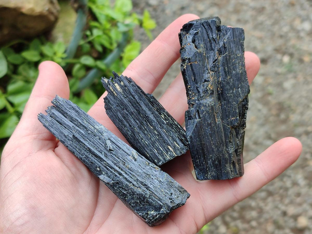 Natural Schorl Black Tourmaline some with Foitite Crystals x 12 From Erongo, Namibia - Toprock Gemstones and Minerals 
