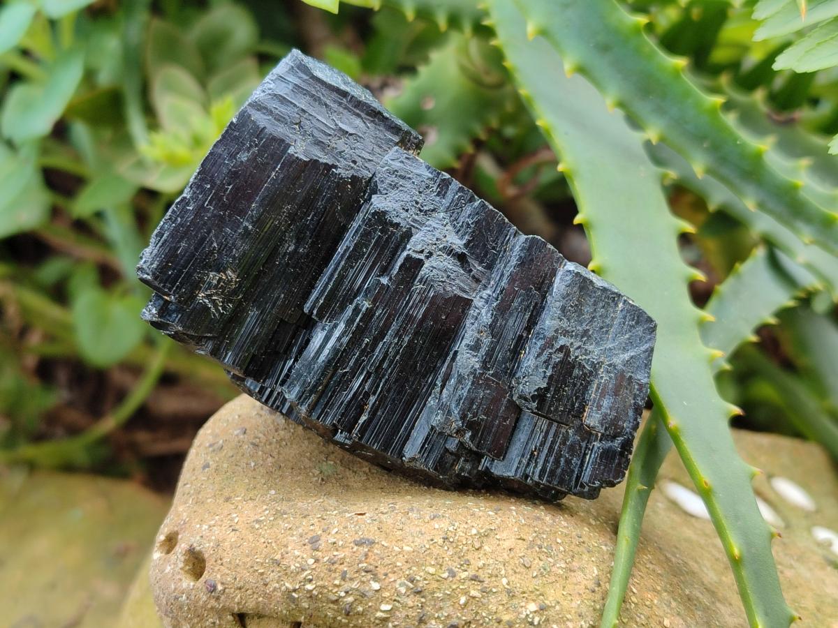 Natural Schorl Black Tourmaline some with Foitite Crystals x 12 From Erongo, Namibia - Toprock Gemstones and Minerals 