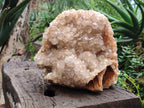 Natural XL Smokey Limonite Quartz Cluster x 1 From Solwezi, Zambia - Toprock Gemstones and Minerals 