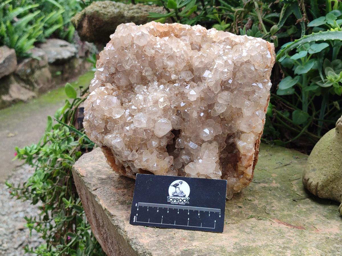 Natural XL Smokey Limonite Quartz Cluster x 1 From Solwezi, Zambia - Toprock Gemstones and Minerals 