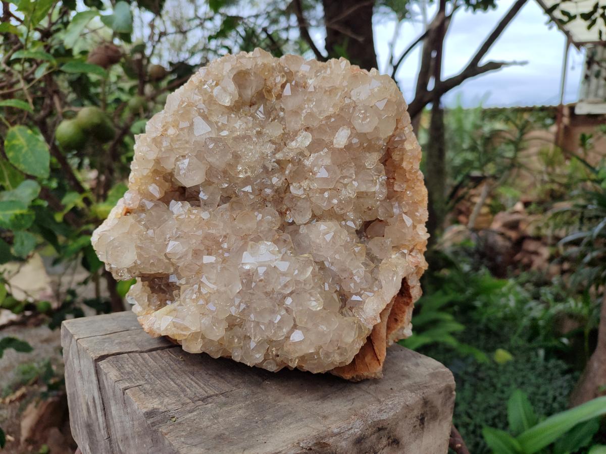 Natural XL Smokey Limonite Quartz Cluster x 1 From Solwezi, Zambia - Toprock Gemstones and Minerals 