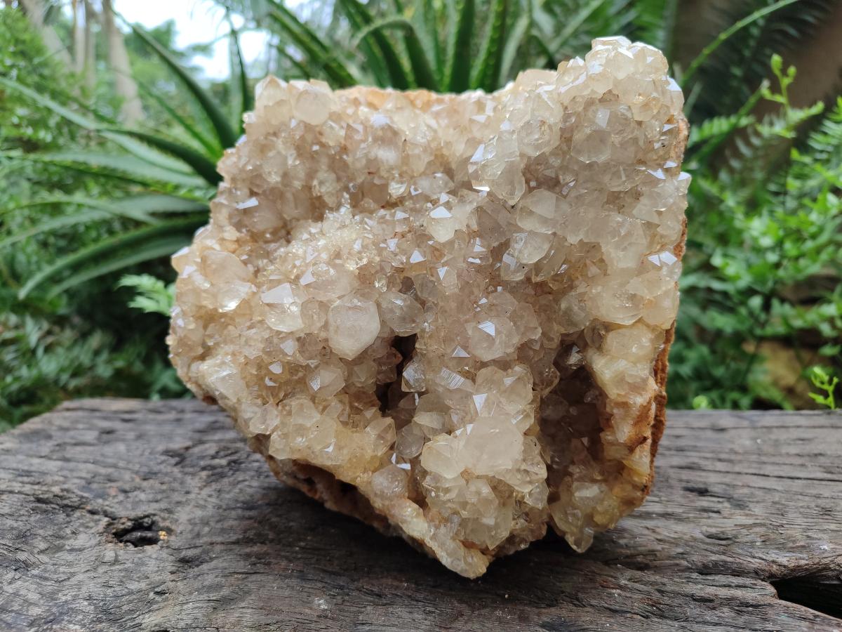 Natural XL Smokey Limonite Quartz Cluster x 1 From Solwezi, Zambia - Toprock Gemstones and Minerals 