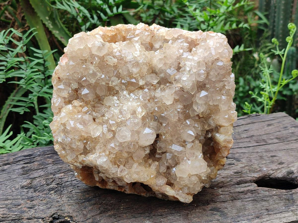 Natural XL Smokey Limonite Quartz Cluster x 1 From Solwezi, Zambia - Toprock Gemstones and Minerals 