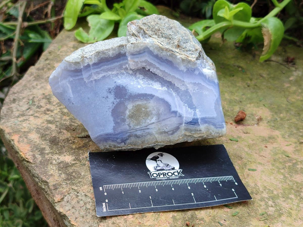 Polished On One Side Blue Lace Agate Geodes x 12 From Nsanje, Malawi - Toprock Gemstones and Minerals 