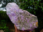 Natural Cobbed Stichtite Specimen x 1 From Barberton, South Africa - Toprock Gemstones and Minerals 