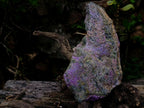 Natural Cobbed Stichtite Specimen x 1 From Barberton, South Africa - Toprock Gemstones and Minerals 