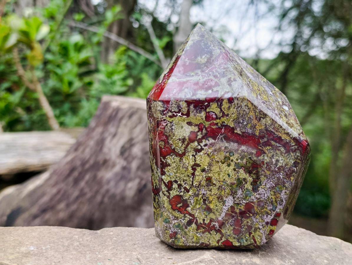 Polished Bastite Dragonsblood Stone Display Crystal Points x 2 From Tshipise, South Africa - Toprock Gemstones and Minerals 
