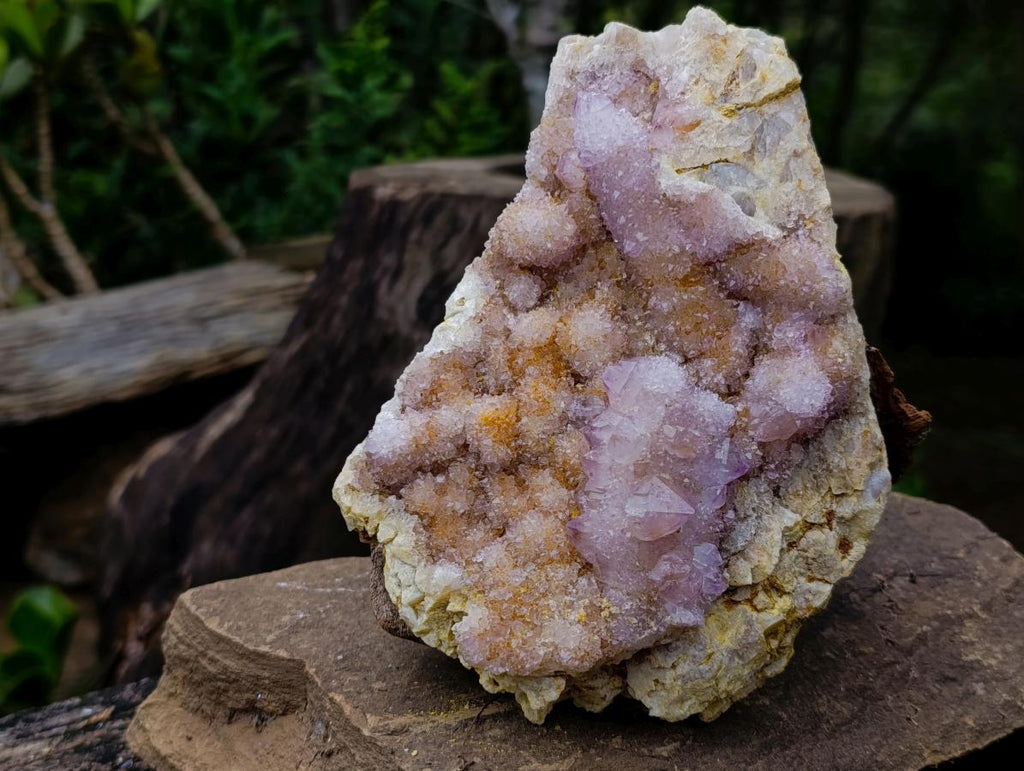 Natural Large Spirit Ametrine Clusters x 2 From Boekenhouthoek, South Africa - Toprock Gemstones and Minerals 