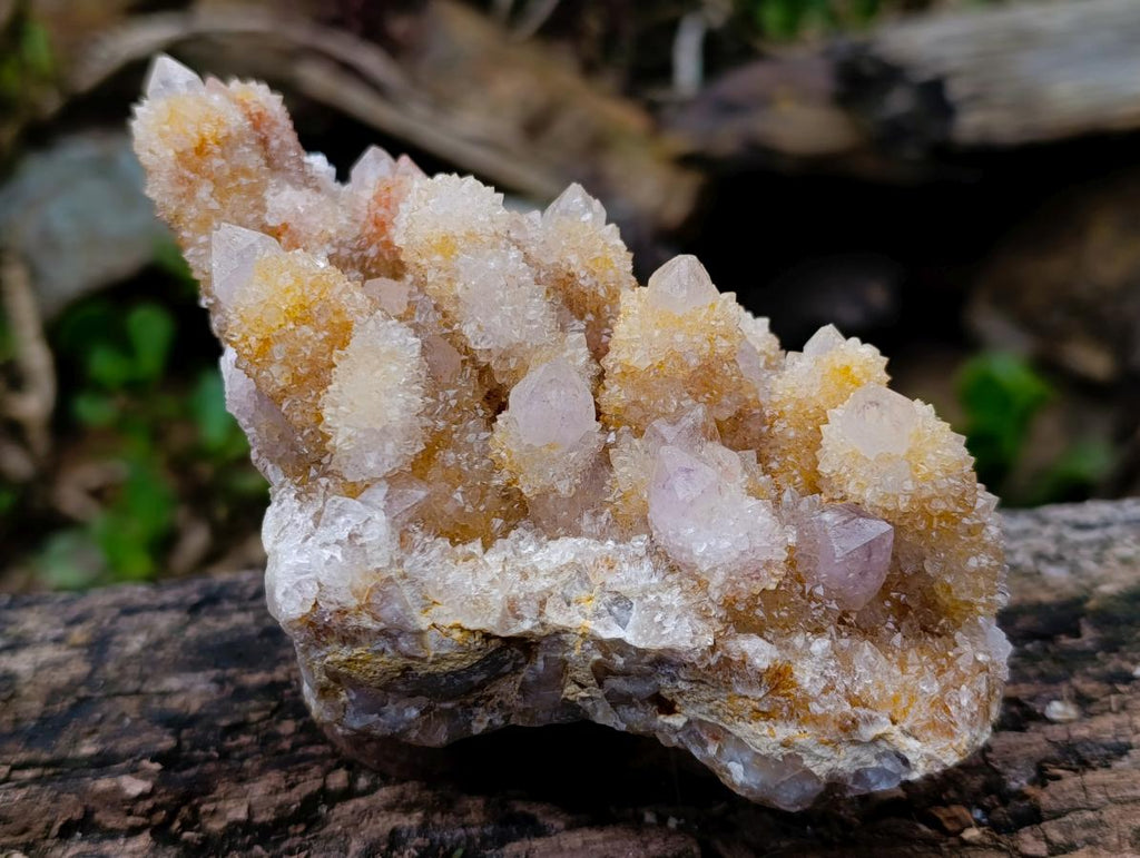 Natural Large Spirit Ametrine Clusters x 2 From Boekenhouthoek, South Africa - Toprock Gemstones and Minerals 