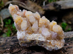 Natural Large Spirit Ametrine Clusters x 2 From Boekenhouthoek, South Africa - Toprock Gemstones and Minerals 