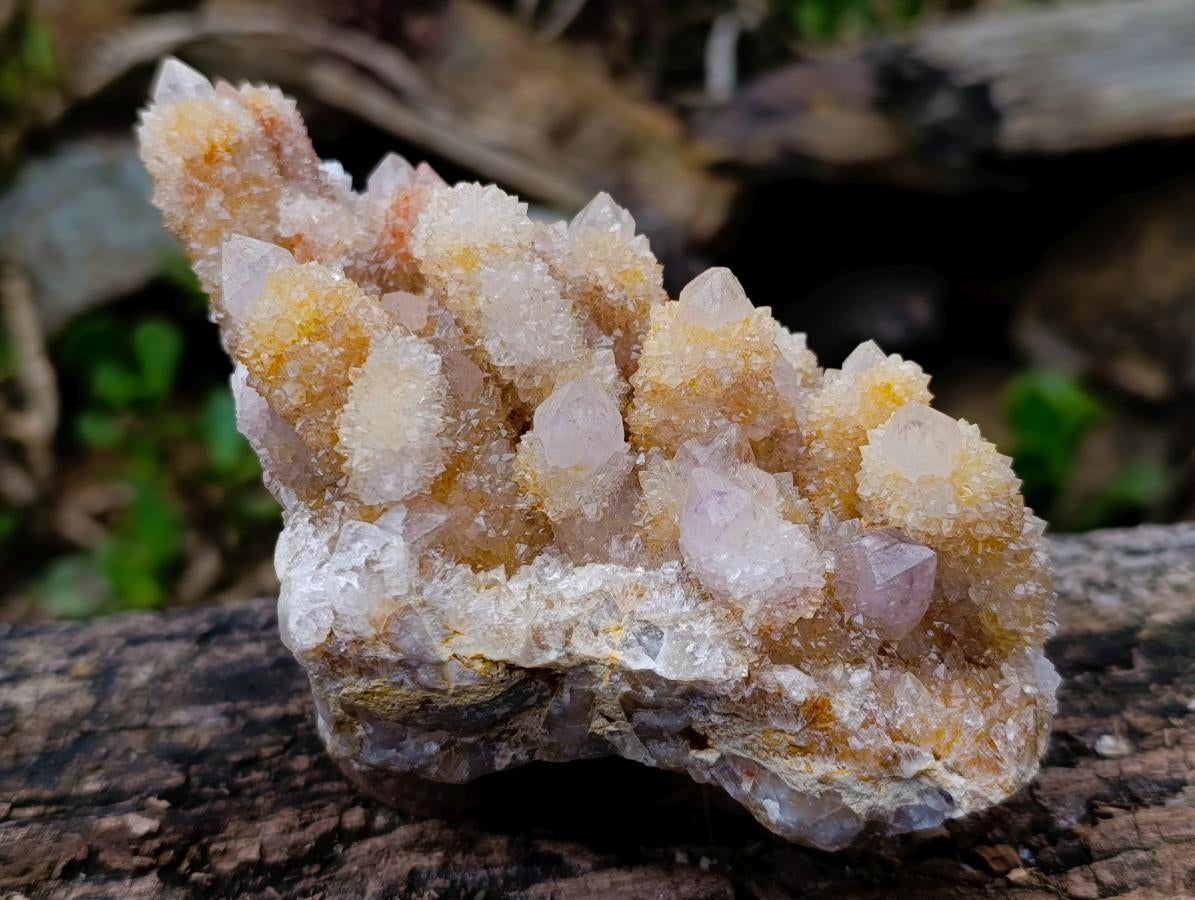 Natural Large Spirit Ametrine Clusters x 2 From Boekenhouthoek, South Africa - Toprock Gemstones and Minerals 