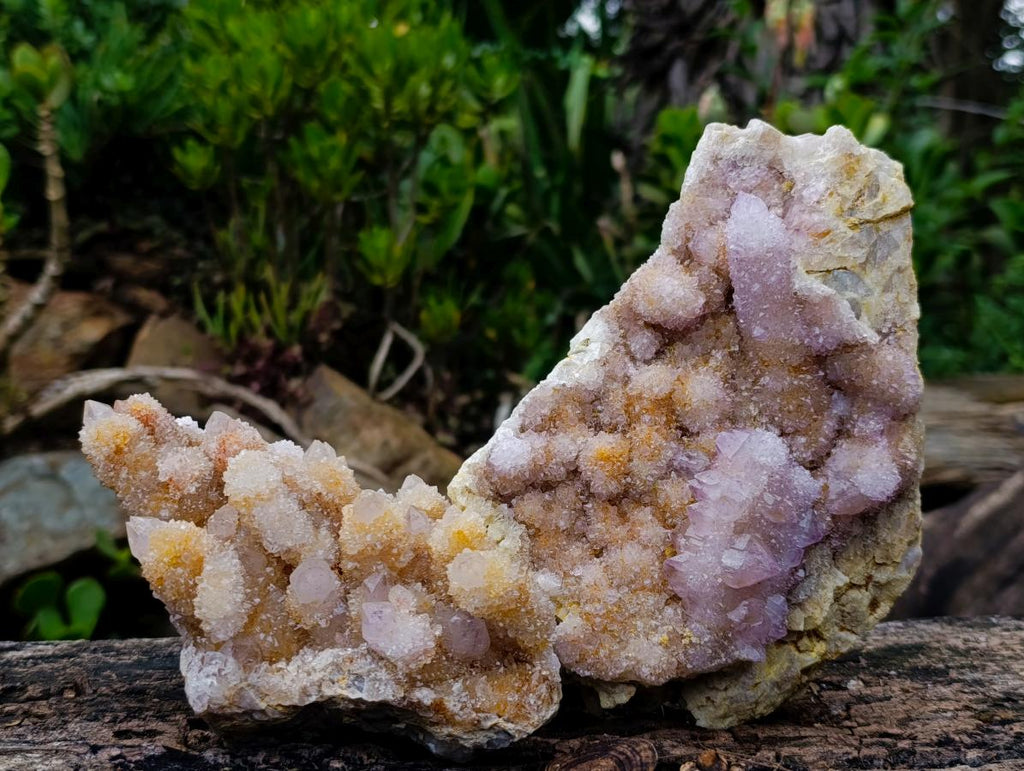 Natural Large Spirit Ametrine Clusters x 2 From Boekenhouthoek, South Africa - Toprock Gemstones and Minerals 