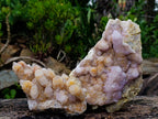 Natural Large Spirit Ametrine Clusters x 2 From Boekenhouthoek, South Africa - Toprock Gemstones and Minerals 