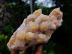 Natural Large Spirit Ametrine Clusters x 2 From Boekenhouthoek, South Africa - Toprock Gemstones and Minerals 