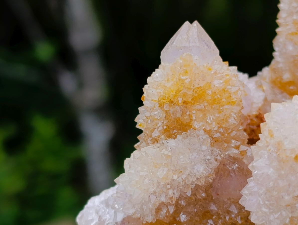 Natural Large Spirit Ametrine Clusters x 2 From Boekenhouthoek, South Africa - Toprock Gemstones and Minerals 