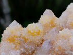 Natural Large Spirit Ametrine Clusters x 2 From Boekenhouthoek, South Africa - Toprock Gemstones and Minerals 