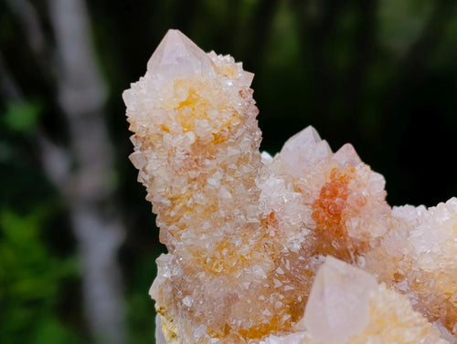 Natural Large Spirit Ametrine Clusters x 2 From Boekenhouthoek, South Africa - Toprock Gemstones and Minerals 