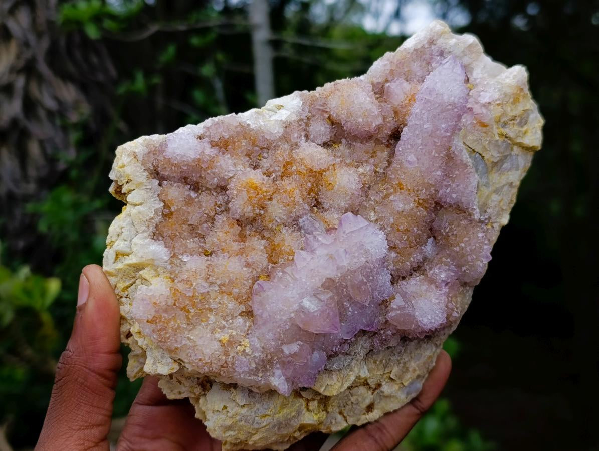 Natural Large Spirit Ametrine Clusters x 2 From Boekenhouthoek, South Africa - Toprock Gemstones and Minerals 