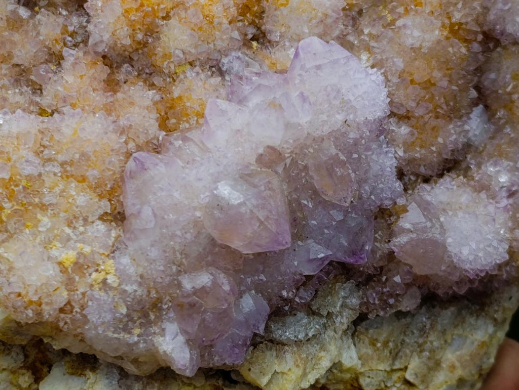 Natural Large Spirit Ametrine Clusters x 2 From Boekenhouthoek, South Africa - Toprock Gemstones and Minerals 