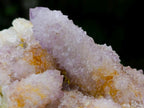 Natural Large Spirit Ametrine Clusters x 2 From Boekenhouthoek, South Africa - Toprock Gemstones and Minerals 