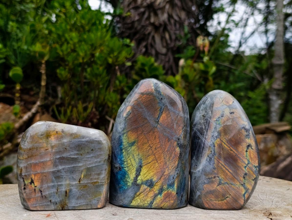 Polished Rare Purple Sunset Flash Labradorite Standing Display Pieces x 3 From Madagascar - Toprock Gemstones and Minerals 