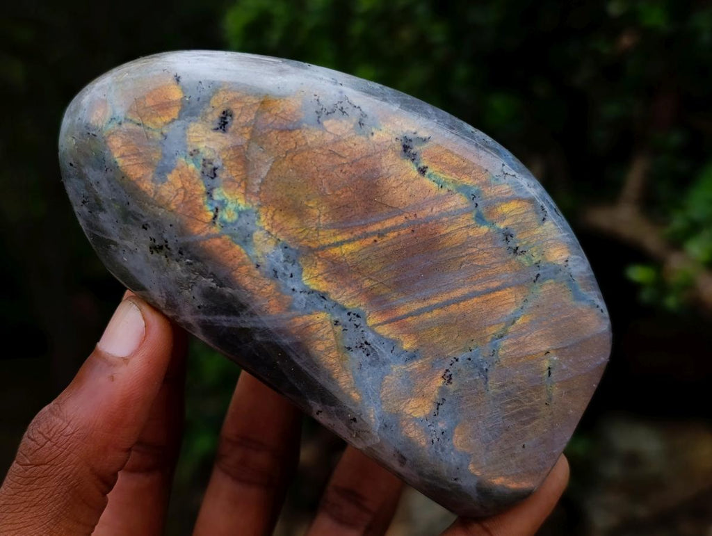 Polished Rare Purple Sunset Flash Labradorite Standing Display Pieces x 3 From Madagascar - Toprock Gemstones and Minerals 