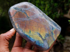 Polished Rare Purple Sunset Flash Labradorite Standing Display Pieces x 3 From Madagascar - Toprock Gemstones and Minerals 