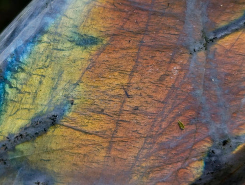 Polished Rare Purple Sunset Flash Labradorite Standing Display Pieces x 3 From Madagascar - Toprock Gemstones and Minerals 