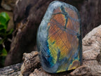Polished Rare Purple Sunset Flash Labradorite Standing Display Pieces x 3 From Madagascar - Toprock Gemstones and Minerals 
