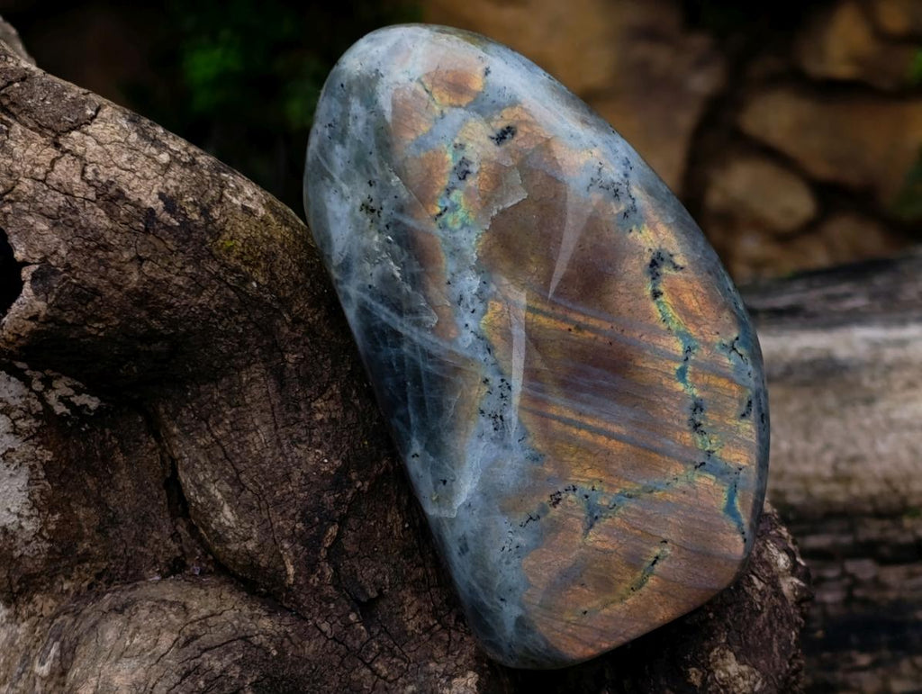 Polished Rare Purple Sunset Flash Labradorite Standing Display Pieces x 3 From Madagascar - Toprock Gemstones and Minerals 