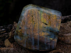 Polished Rare Purple Sunset Flash Labradorite Standing Display Pieces x 3 From Madagascar - Toprock Gemstones and Minerals 