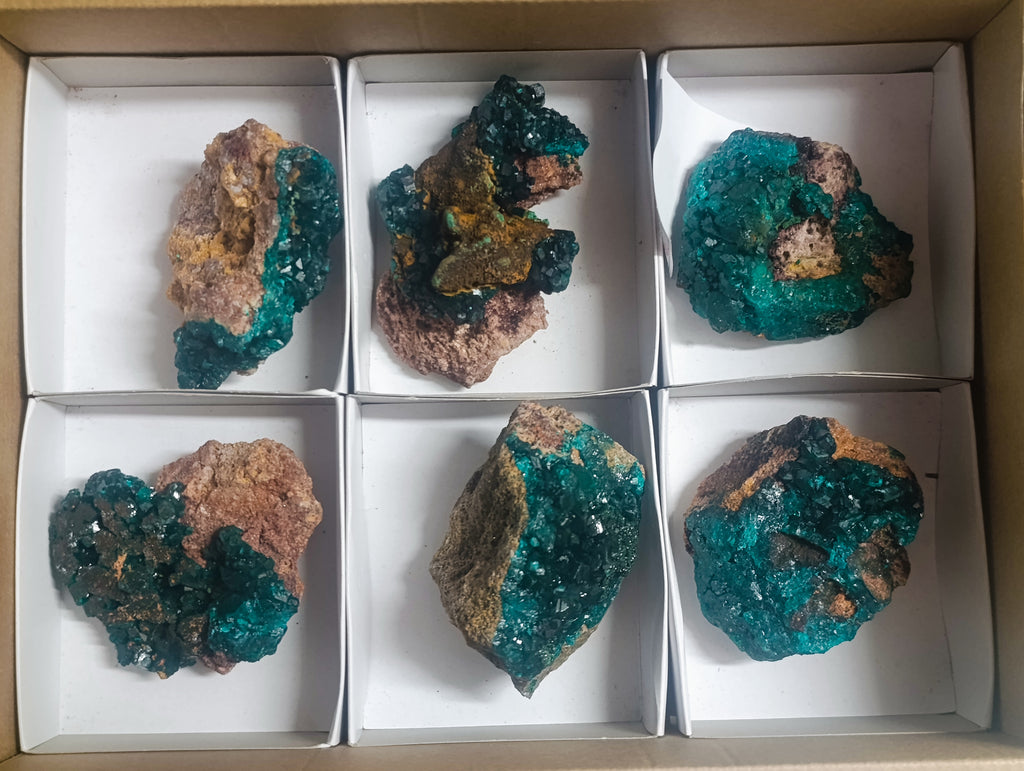Natural Dioptase on Dolomite Specimens x 6 From Likasi, Congo