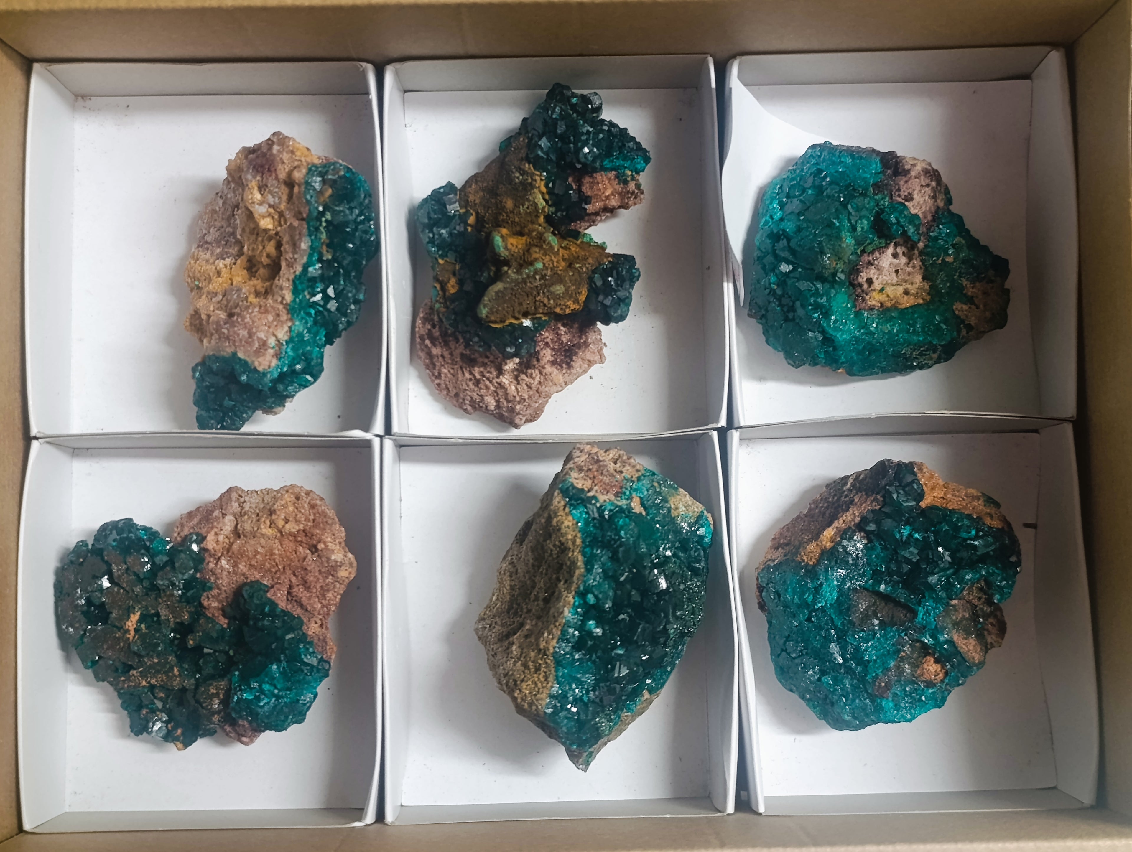Natural Dioptase on Dolomite Specimens x 6 From Likasi, Congo